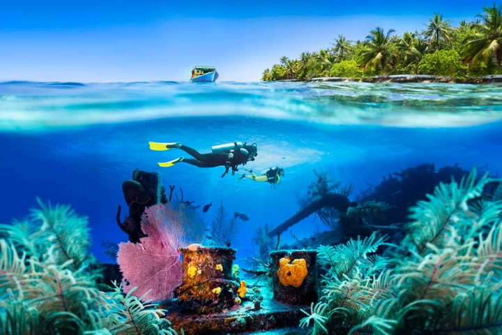 The Best Diving Destinations In the World 