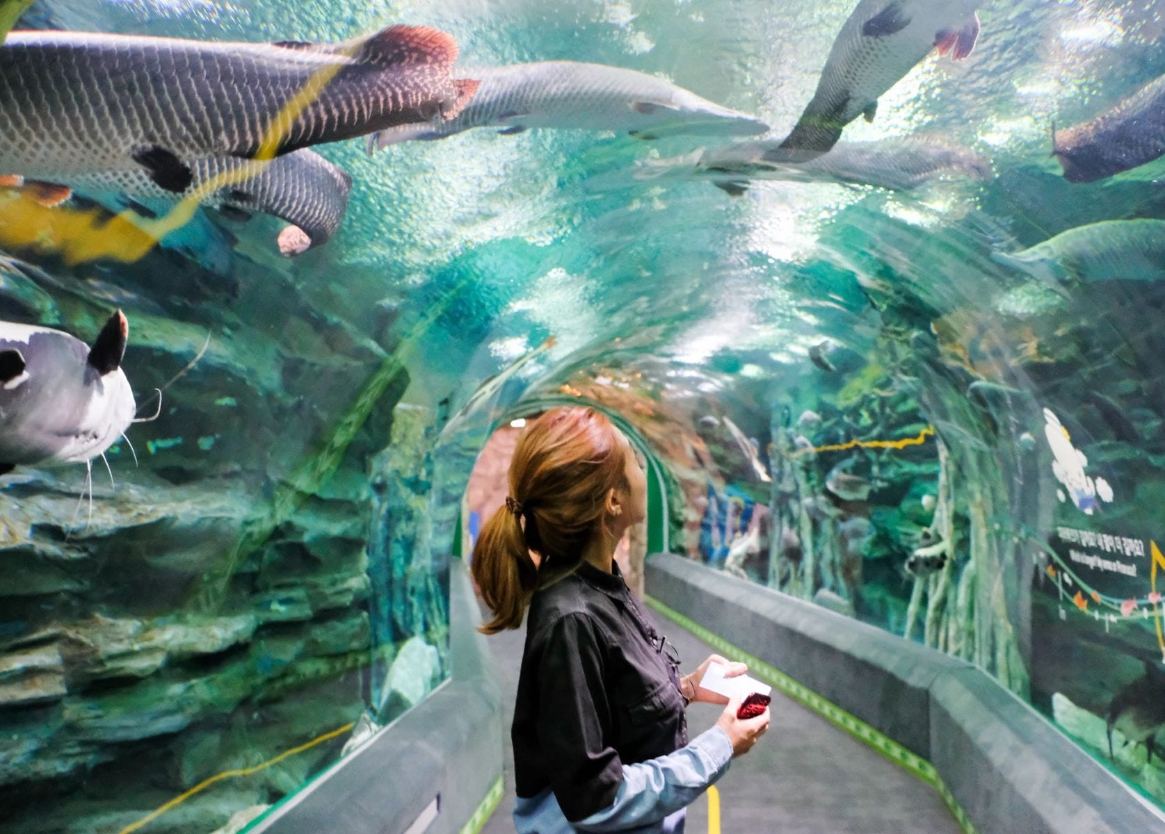 Bermuda Zoo and Aquarium