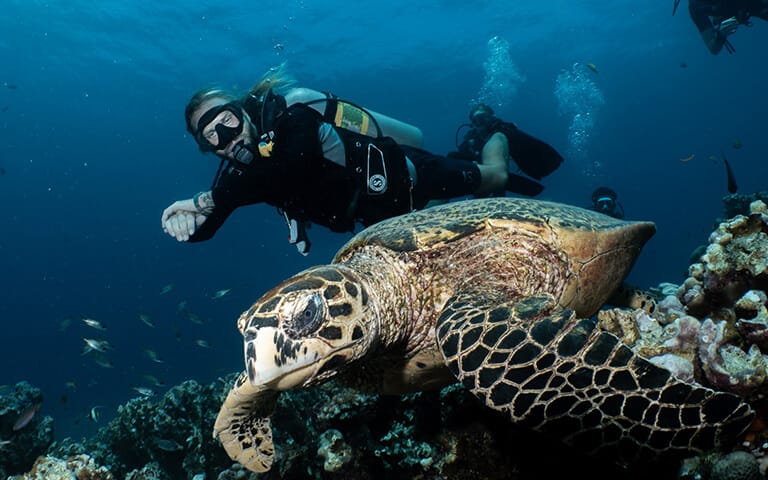 Diving In The Gili Islands