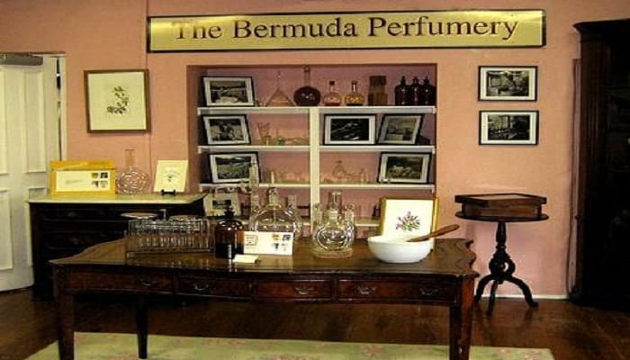 8 Of The Best Things To Do In Bermuda