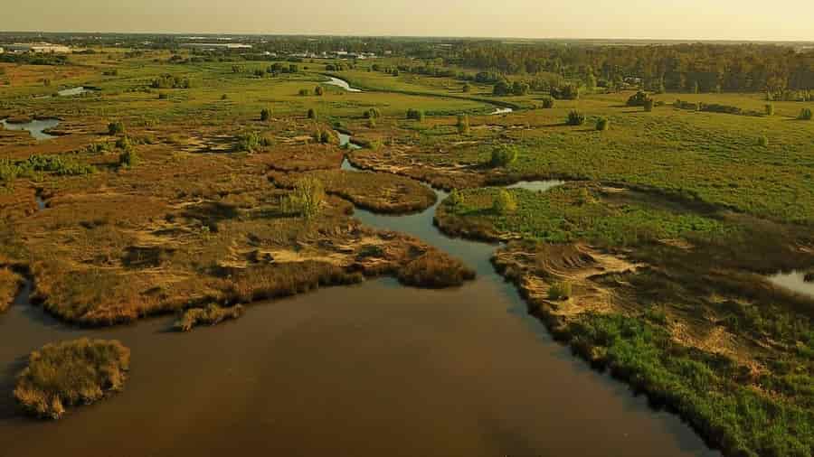 Aerial view of Laguna de Rocha in Uruguay, showing wetlands with patches of green vegetation and brown marshlands intersected by winding water channels under a hazy golden sky