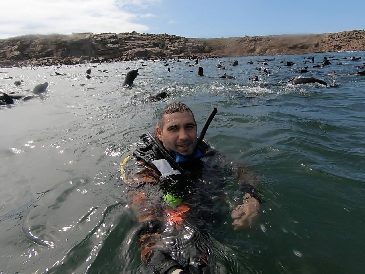 Man in a dive suit swimming amongst hundreds of sea lions at Isla de Lobos.