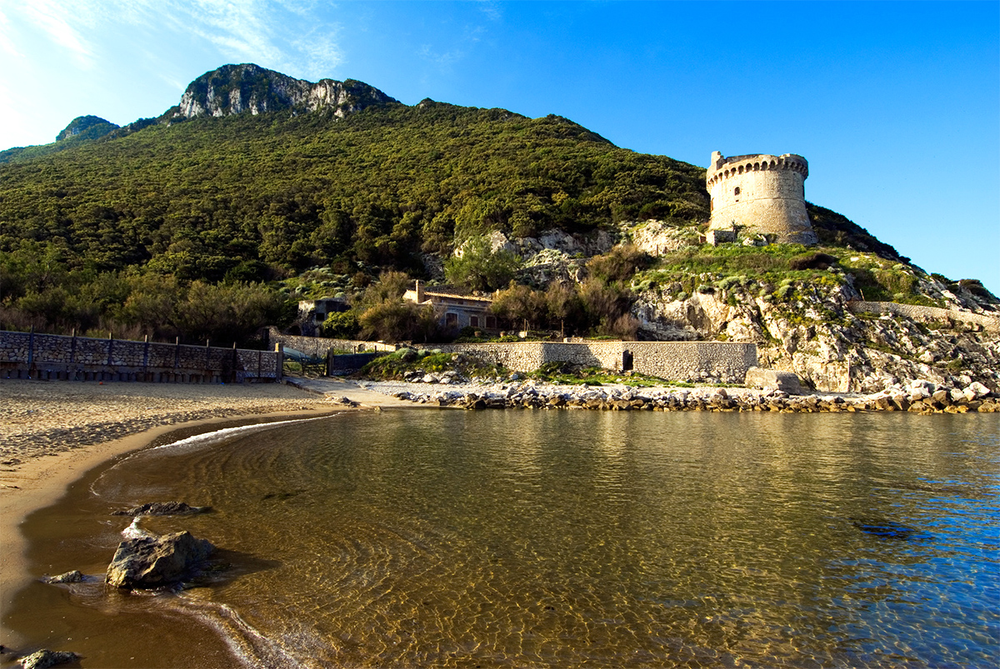 Clear waters with a small beach that leads to a hill covered in thick trees with a small castle at the base of the hill.