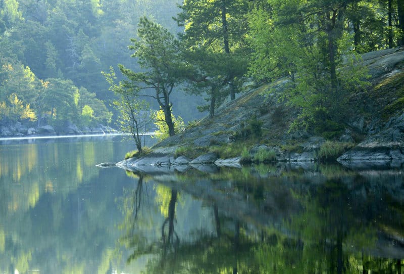 Lake with a rocky hill bank covered in trees and the rest of the lake is surrounded by trees at Tyresta National Park.