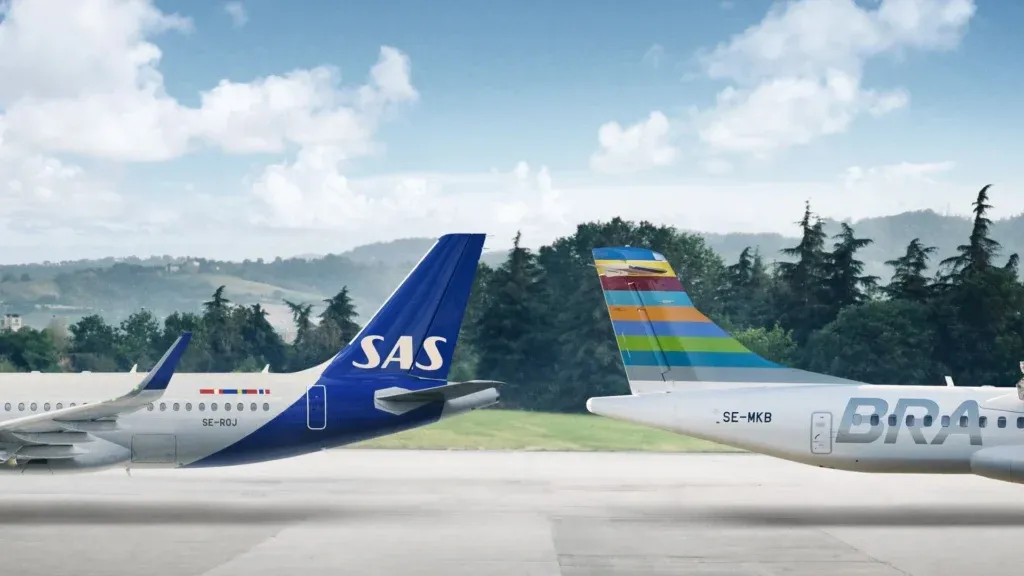 Two airplanes one being SAS Airlines parked at Seattle airport with tree and mountains in the background.