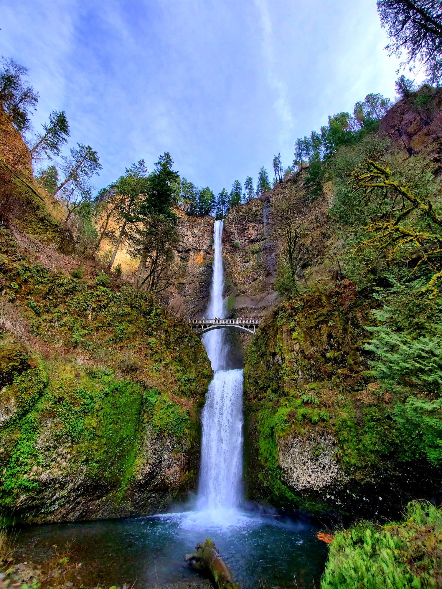 Twin-tiered Multnomah Falls plunging past a scenic footbridge into a lush green gorge in Oregon’s Columbia River Gorge.