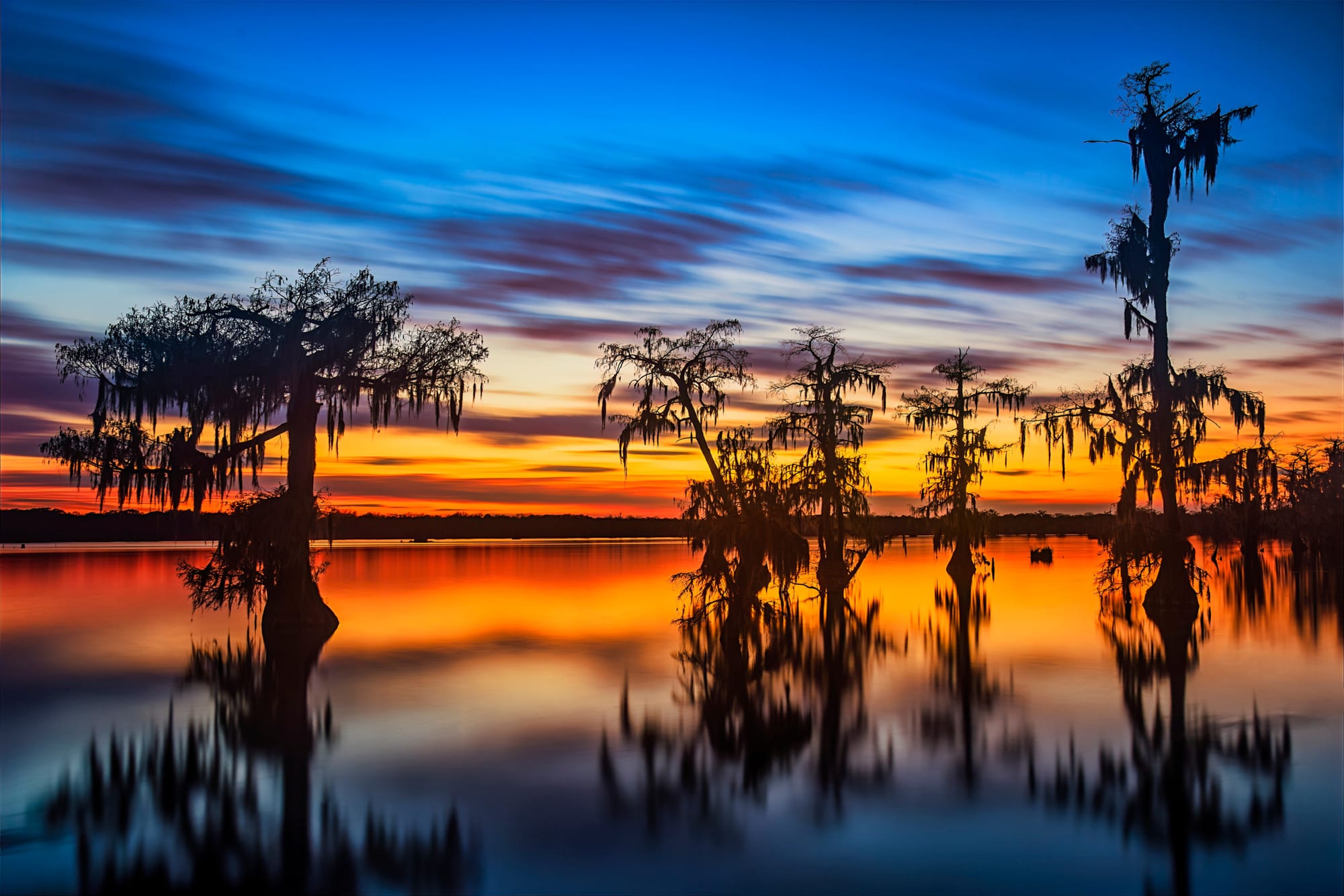 Cypress trees and sunset reflections light up the wetlands of Lake Martin.