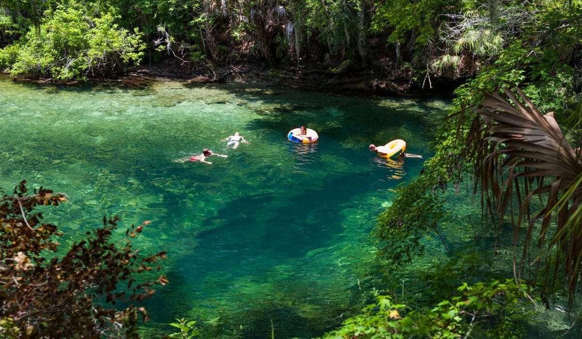 People swim and float in the emerald spring waters at Blue Spring State Park, surrounded by dense greenery.