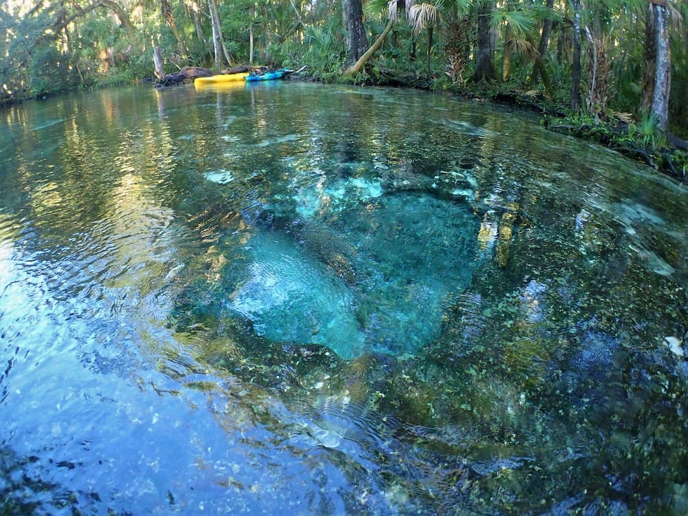 Clear spring water bubbling from an underwater vent in the Chassahowitzka River in Florida, with reflections of surrounding trees and kayaks on the shoreline.