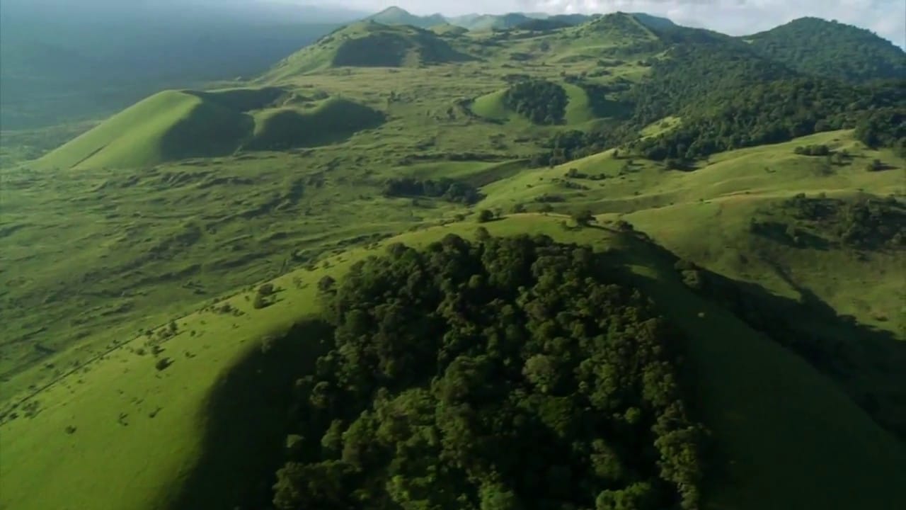 Aerial view of the lush green rolling landscape of the Chyulu Hills in Kenya, covered with dense forest and open grassland.