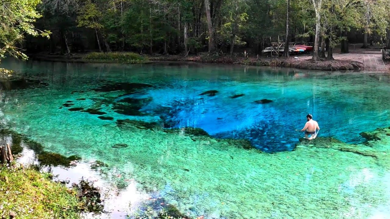 View of Gilchrist Blue Springs in Florida at dusk, with glowing lights illuminating the vivid turquoise spring water surrounded by cypress trees and exposed roots.