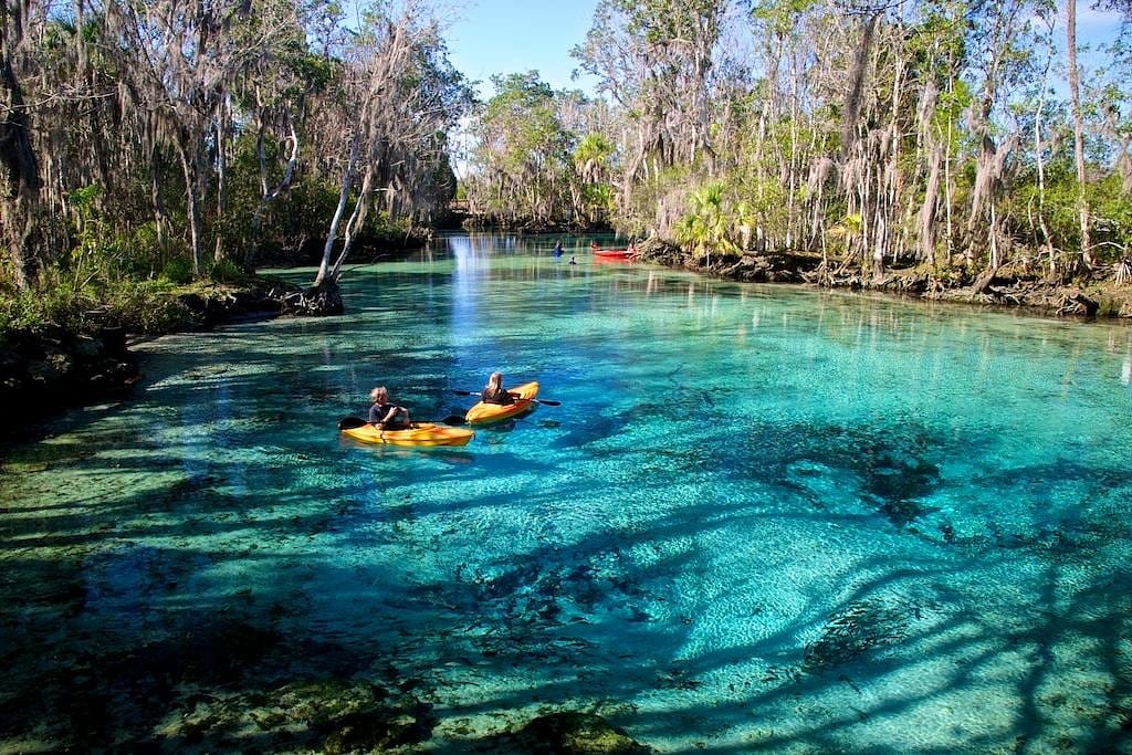 Two kayakers paddling through the vibrant, clear waters of Homosassa Springs in Florida, surrounded by cypress trees and aquatic vegetation.