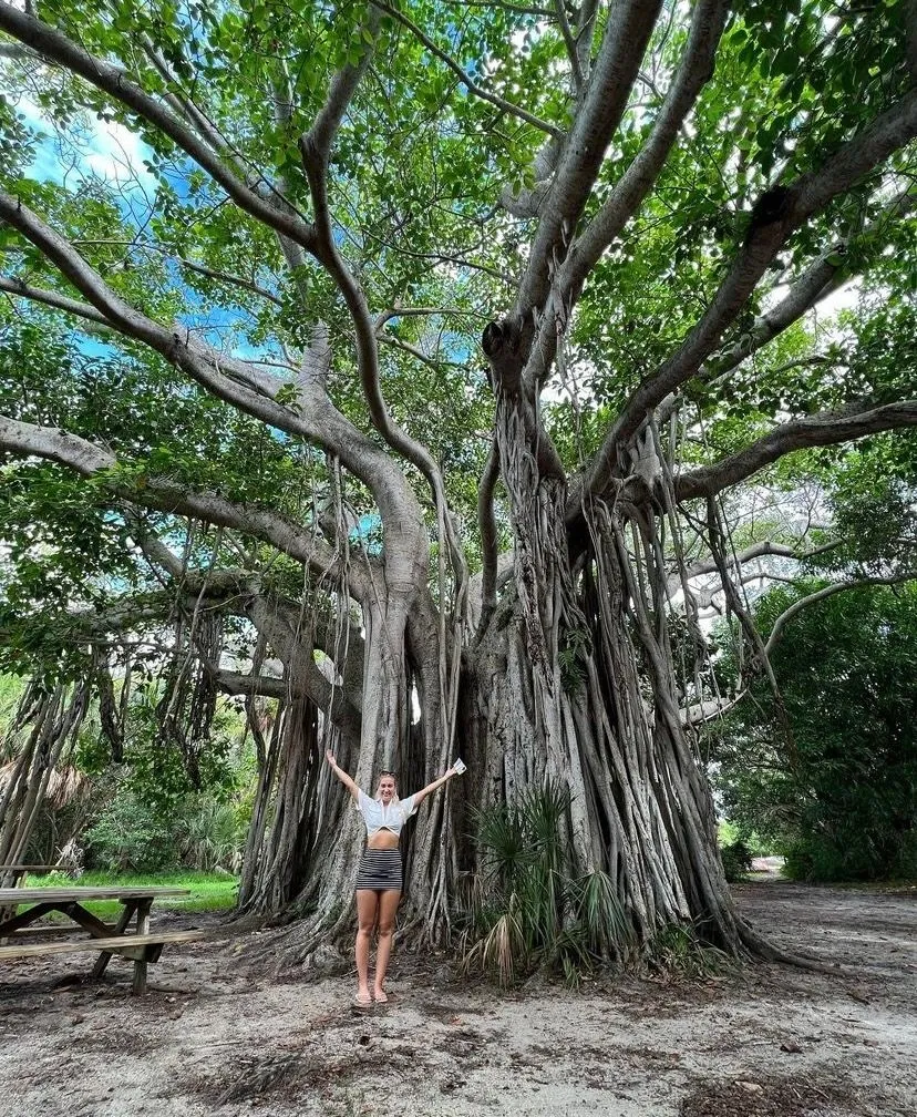 Woman stands beneath a massive banyan tree with sprawling roots and branches at Hugh Taylor Birch State Park.