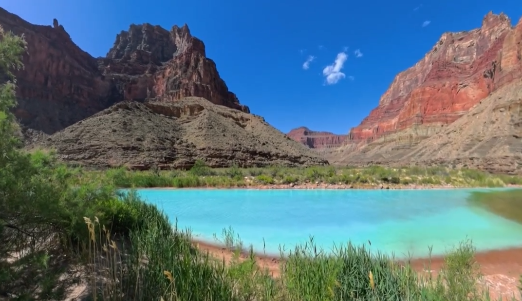 Turquoise-blue waters of the Little Colorado River in Arizona flowing through the Grand Canyon, surrounded by red rock cliffs, rugged terrain, and green riverbank vegetation under a bright blue sky.
