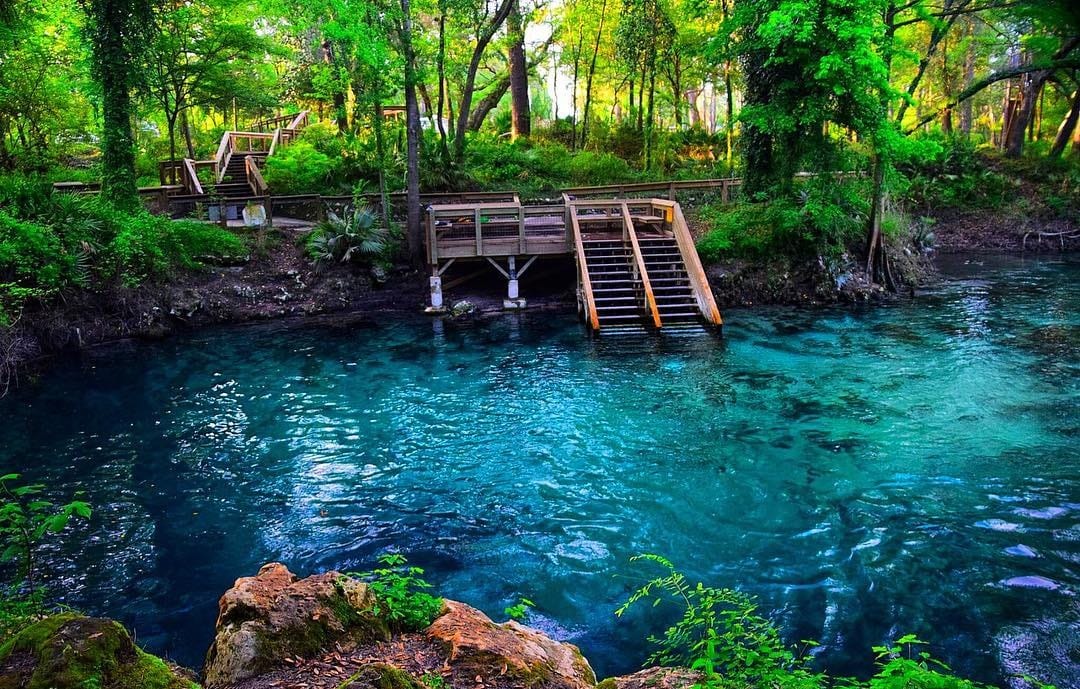 Wooden staircase leading into the deep blue water of Madison Blue Spring in Florida, surrounded by lush forest and limestone rocks.