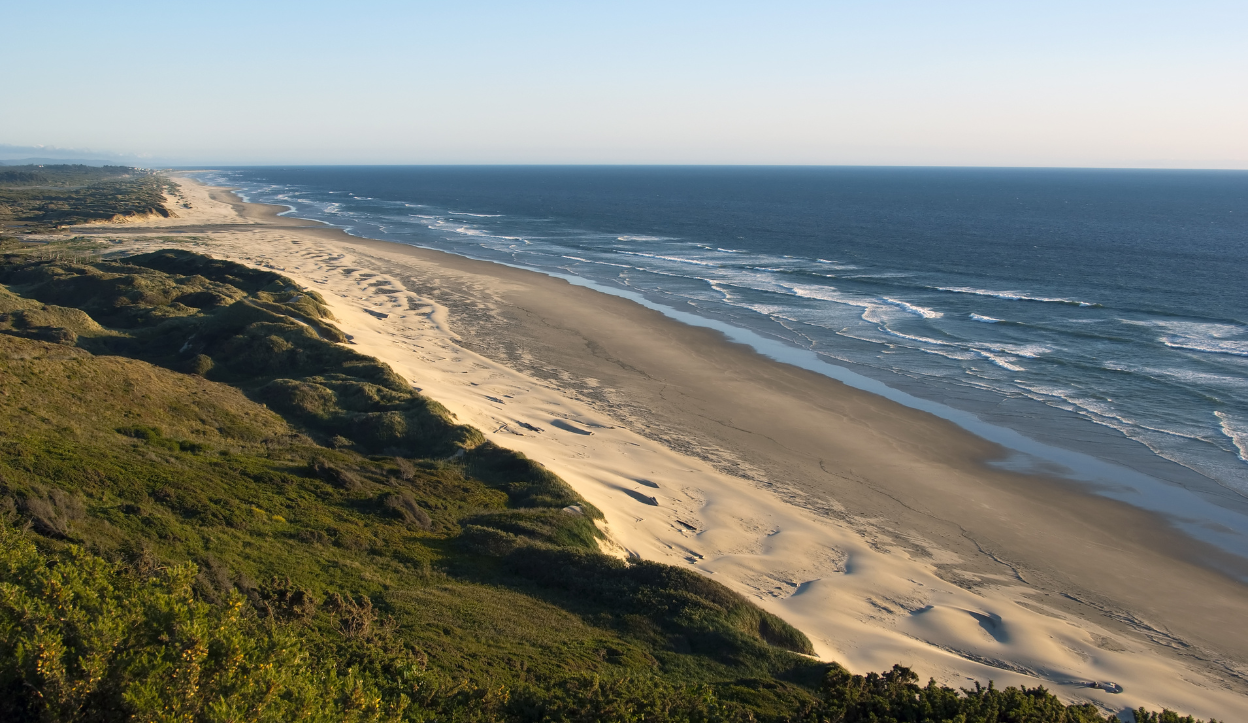 Wide-angle view of the Oregon Dunes National Recreation Area featuring rolling sand dunes meeting the Pacific Ocean, with grassy vegetation on the left and gentle waves under a clear sky.