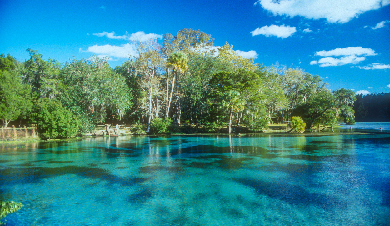 View of Rainbow River in Florida with calm, crystal-clear blue water reflecting the surrounding forest and scattered clouds in the sky.