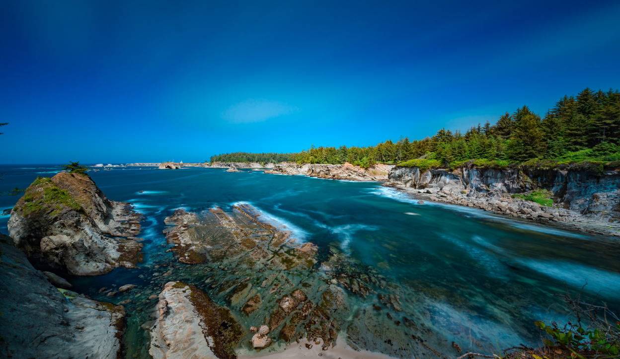 Expansive coastal view from Shore Acres State Park in Oregon, showing rugged cliffs, deep blue ocean waters, and dense evergreen forest beneath a clear sky.