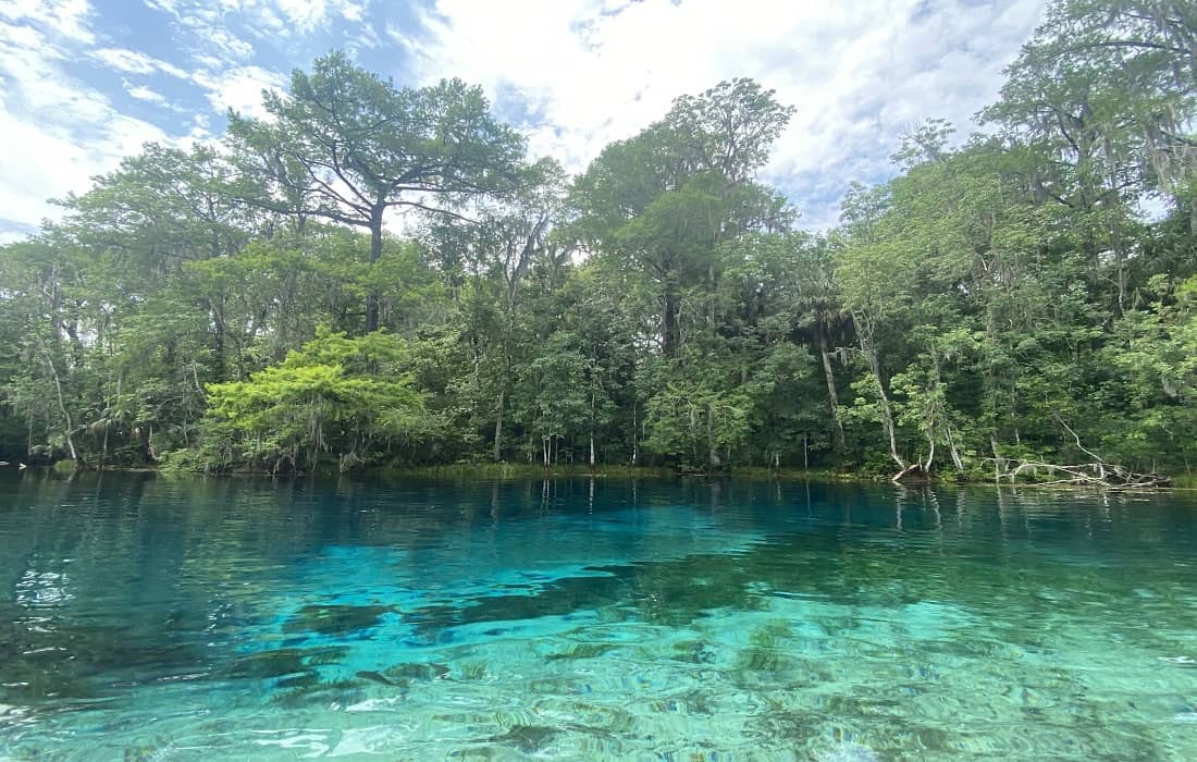 Tranquil section of the Silver River in Florida, featuring crystal-clear turquoise water bordered by dense green forest under a partly cloudy sky.