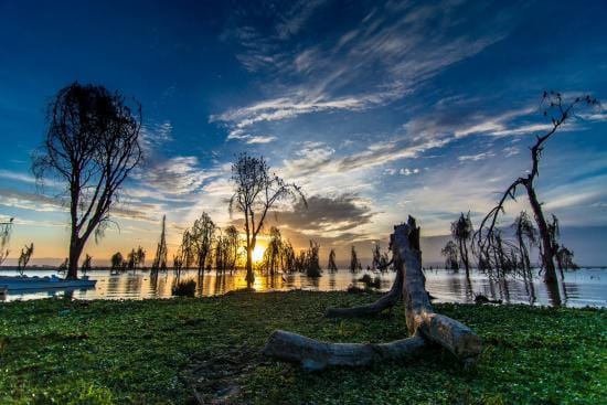 Dramatic sunset over Lake Naivasha in Kenya with silhouetted trees rising from the water and clouds reflecting the fading light.