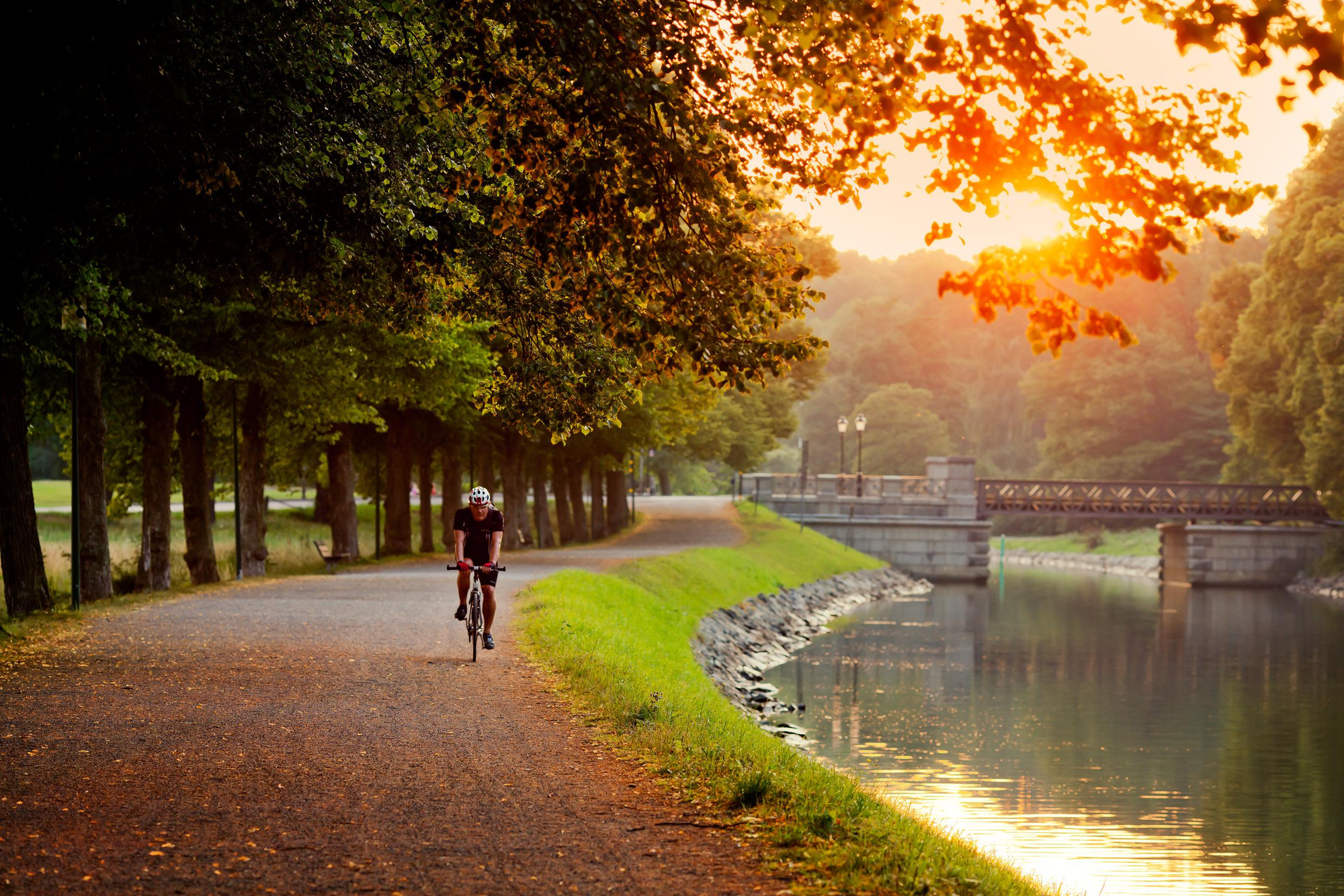 A man riding a bike in Royal National City Park in Stockholm, Sweden.