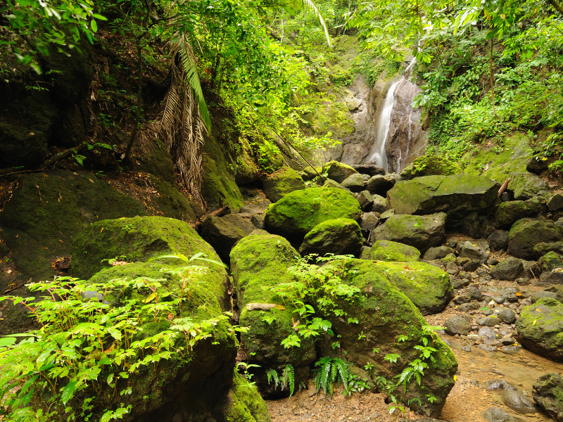 10 Best National Parks in Central America for Nature and Wildlife