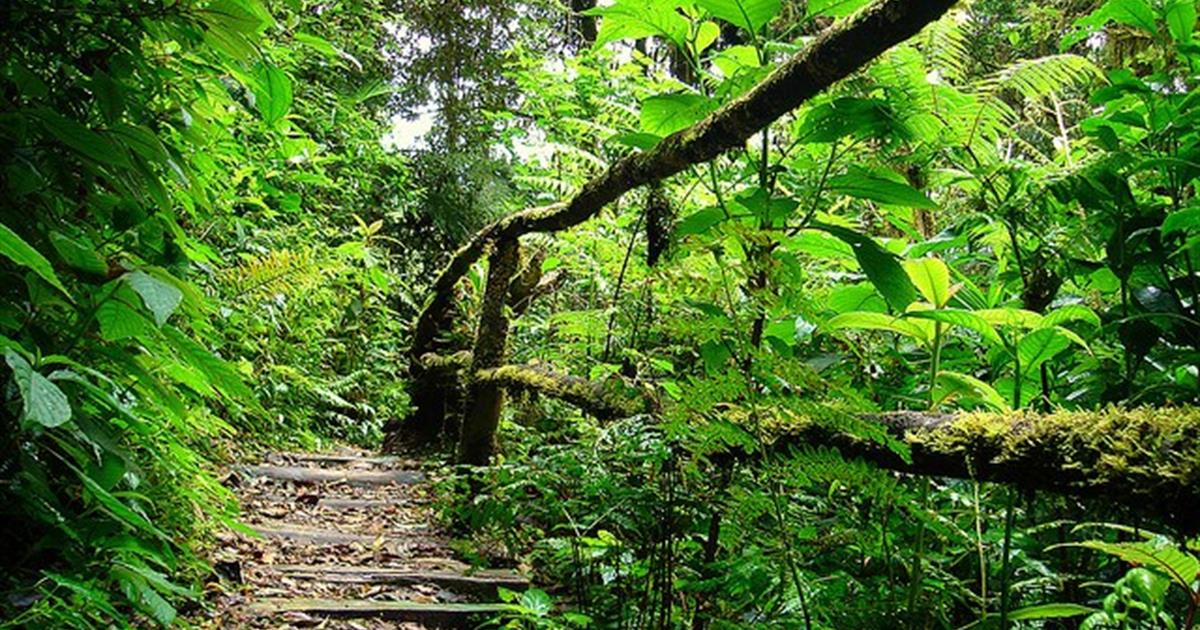 10 Best National Parks in Central America for Nature and Wildlife