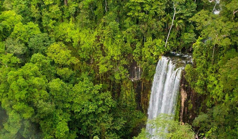 10 Best National Parks in Central America for Nature and Wildlife