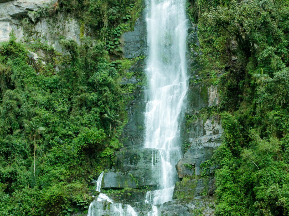 A single drop waterfall casading down a cliff lined with trees at La Chorrera in Colombia.