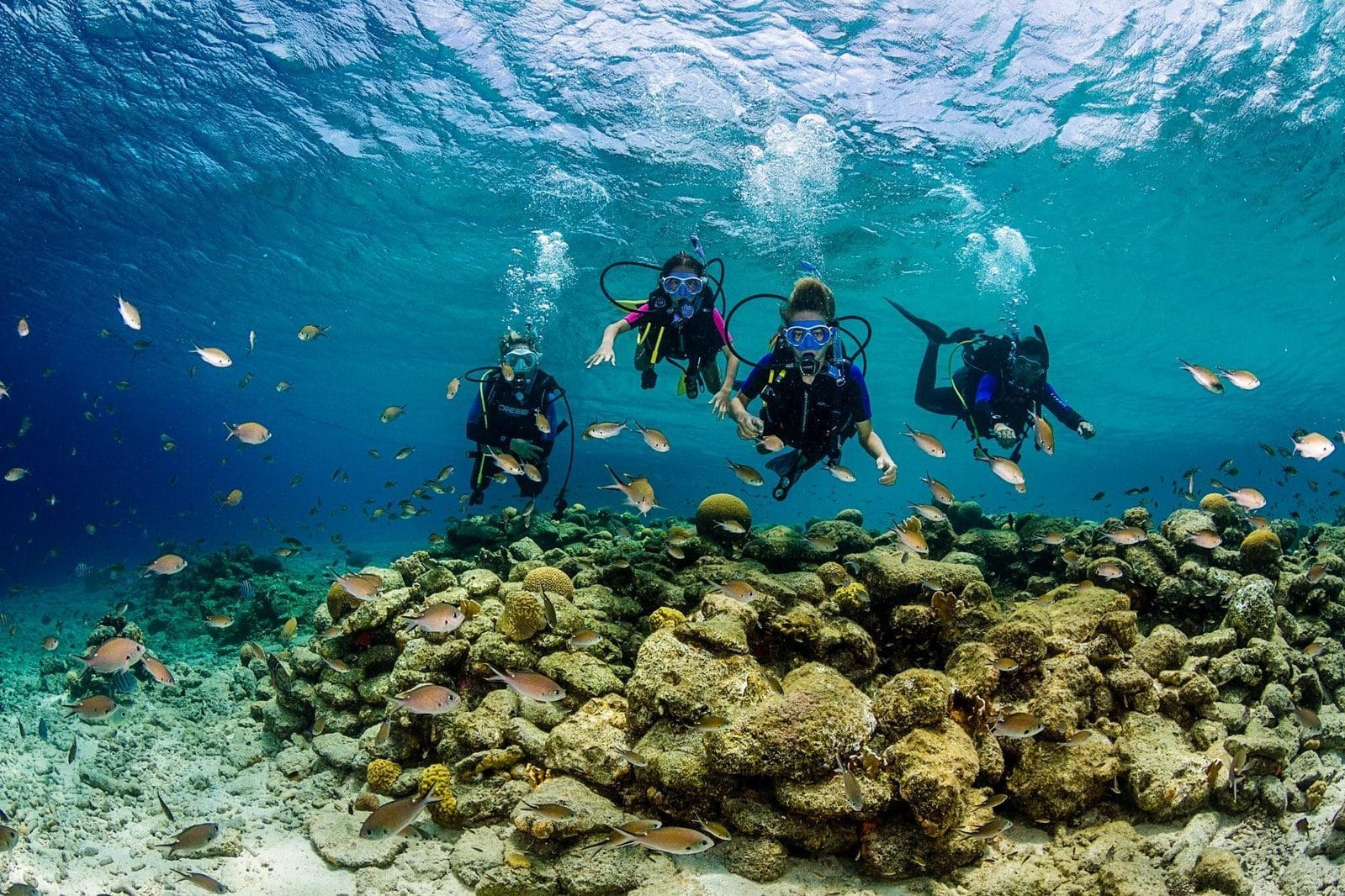 Fourt people in clear waters scuba diving near the island of Bonaire.