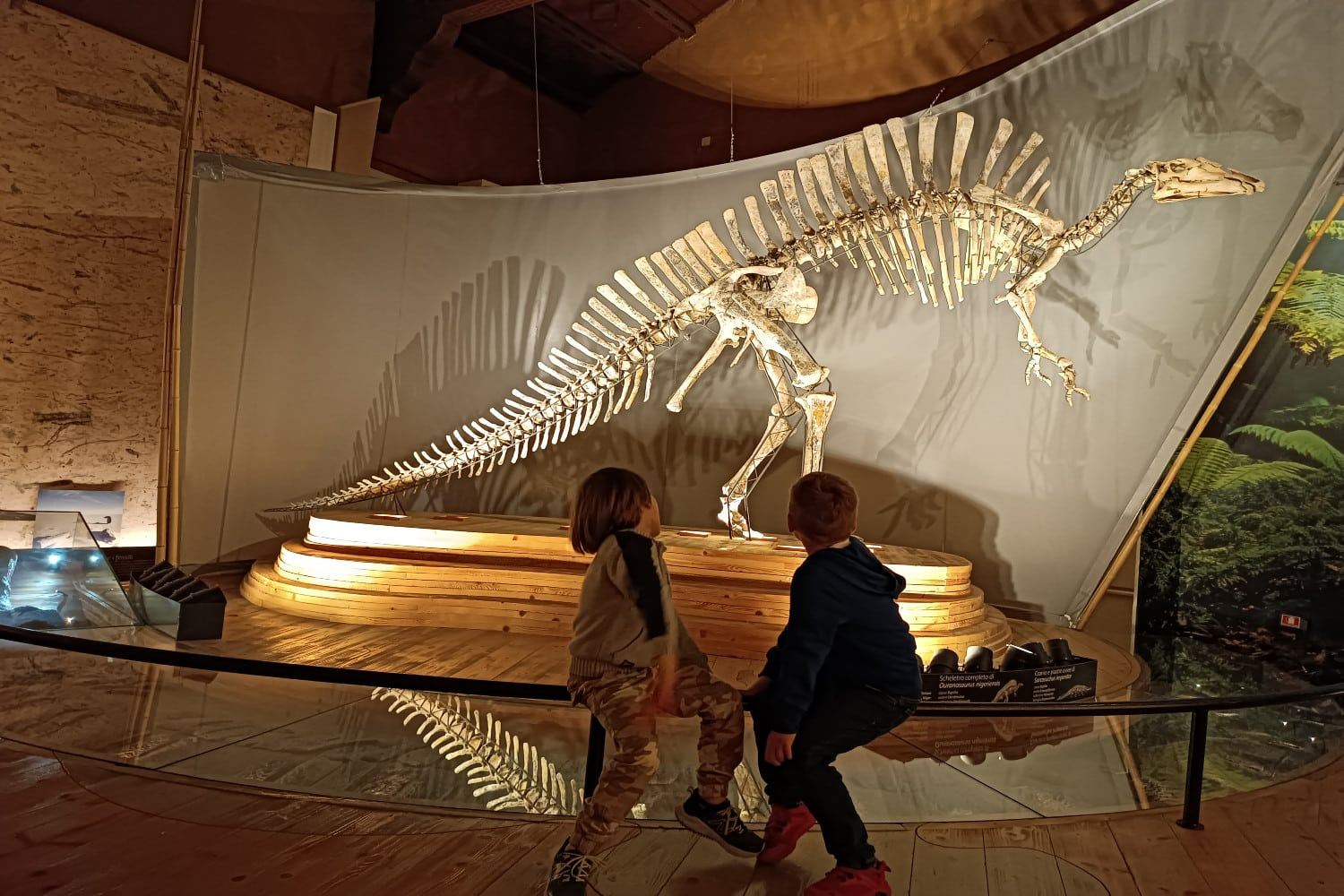 People looking at Dinosaur bones inside of Museo di Storia Naturale di Venezia in Venice, Italy.