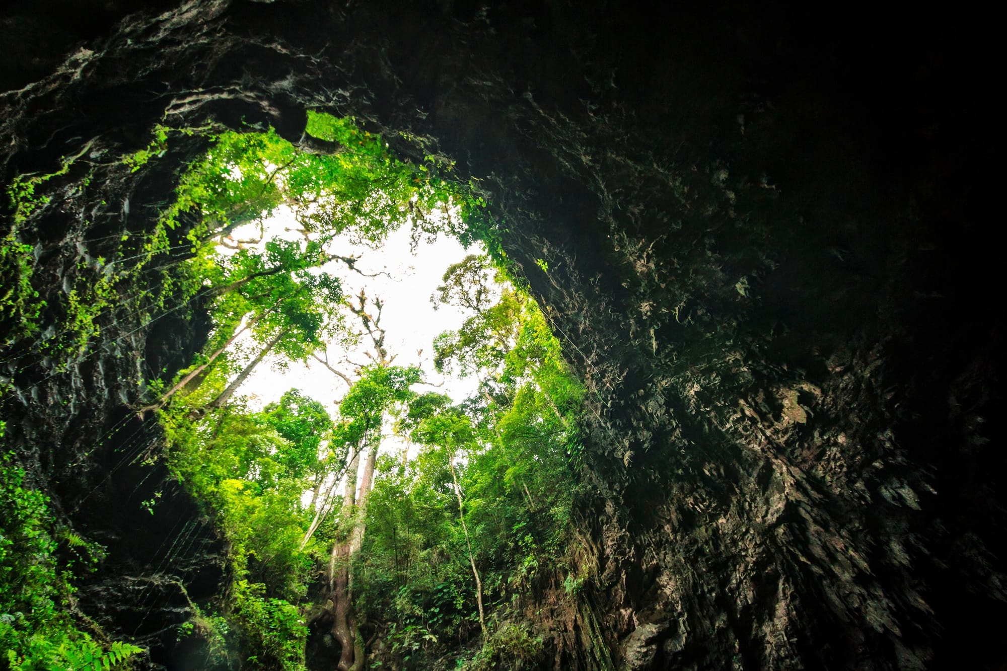 Cuevas de Candelaria National Park in Guatemala.