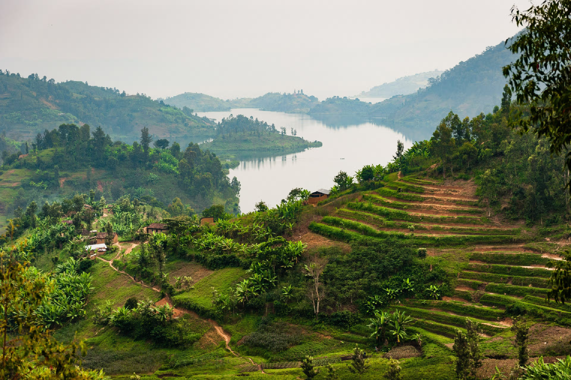 Lake and Rice Terraces in Rwanda.
