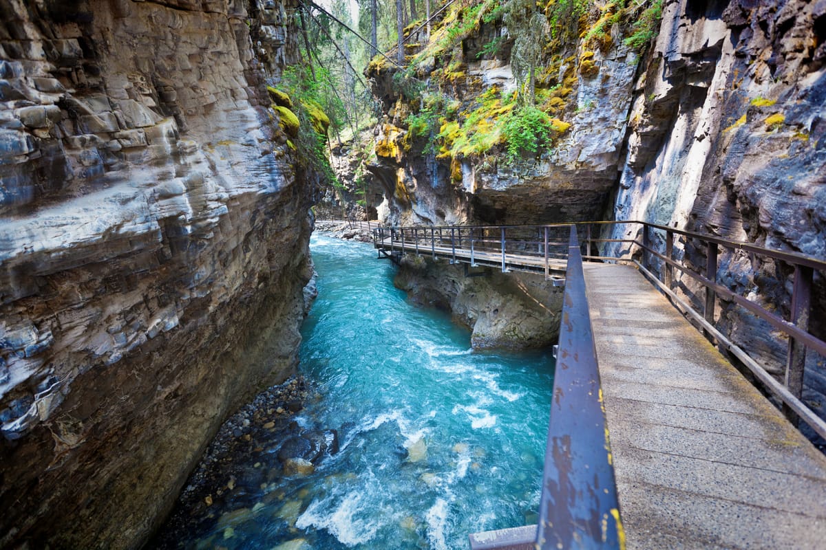 Best Places to Fish in Banff: Top Lakes, Rivers & Creeks