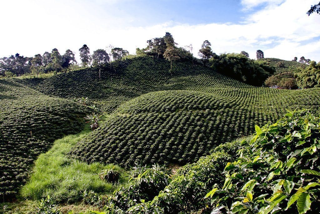 Colombia in February: What To Expect When Visiting