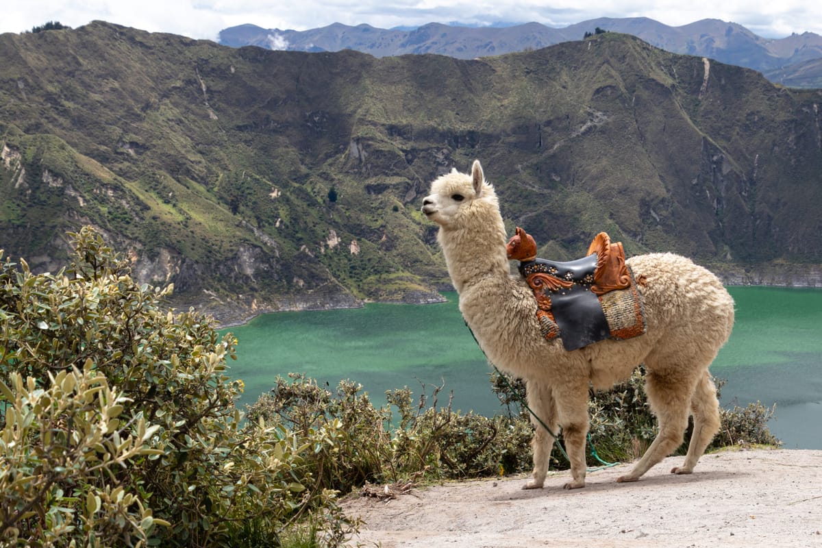 Cheapest and Most Expensive Time to Visit Ecuador