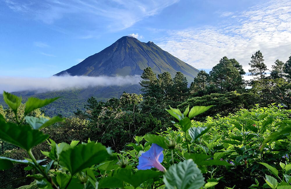 Costa Rica's Cheapest and Most Expensive Months To Visit