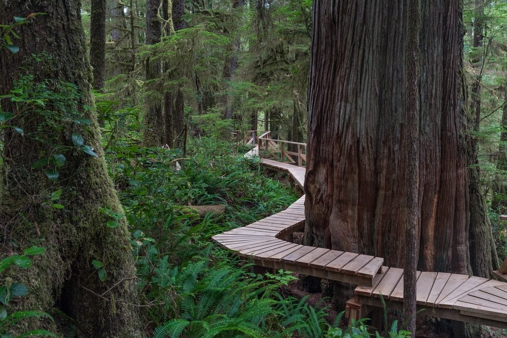 10 Best Parks to Visit on Vancouver Island