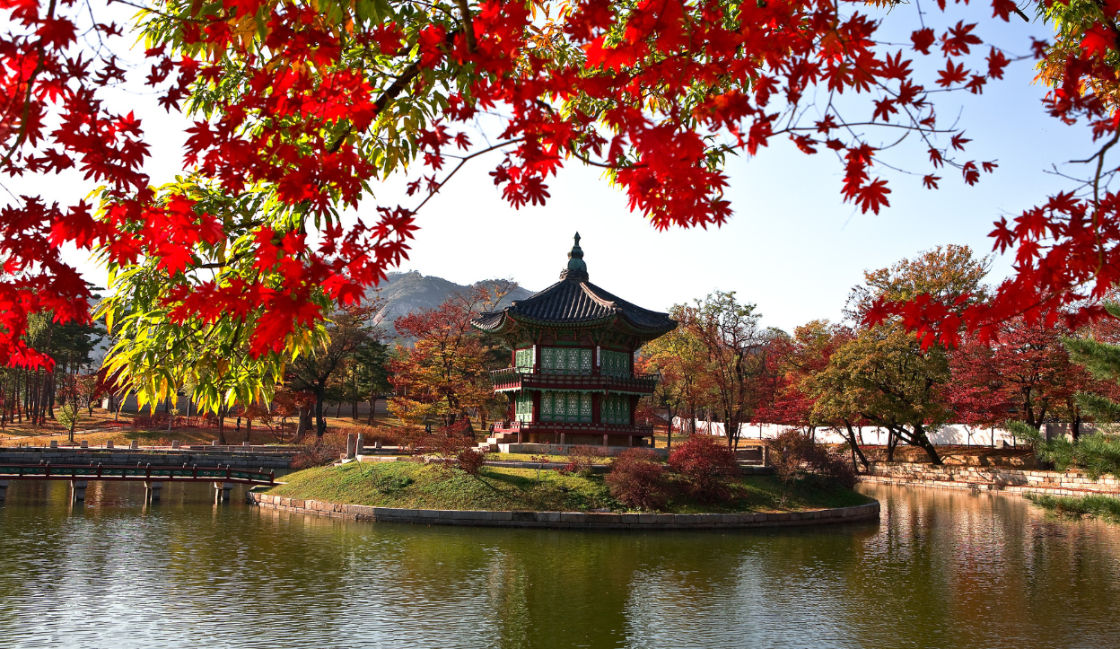 Cheapest and Most Expensive Times To Visit South Korea