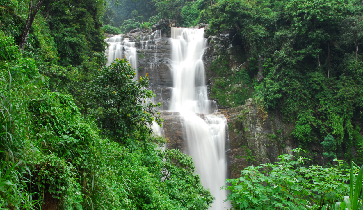 Cheapest and Most Expensive Times to Visit Sri Lanka