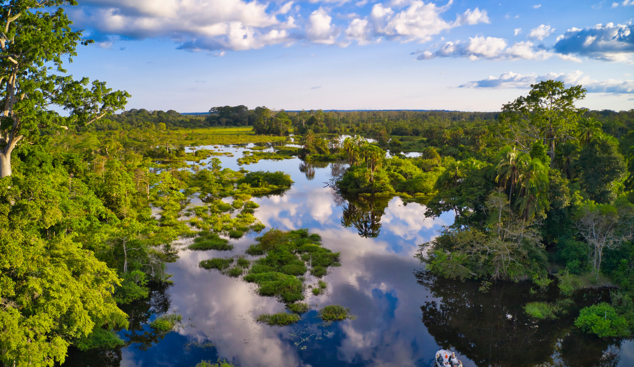 Cheapest and Most Expensive Times To Visit the Republic of the Congo