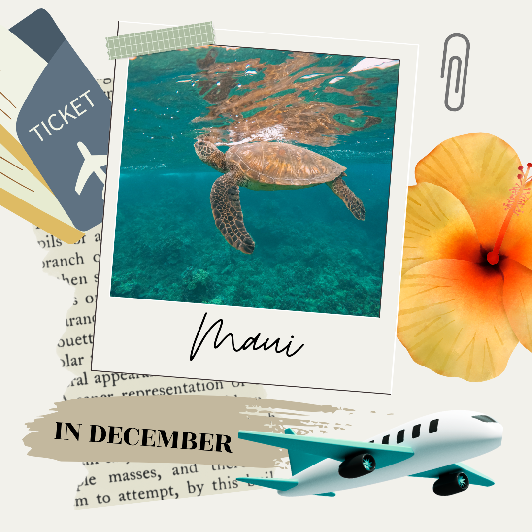 Visiting Maui In December: Everything You Need To Know