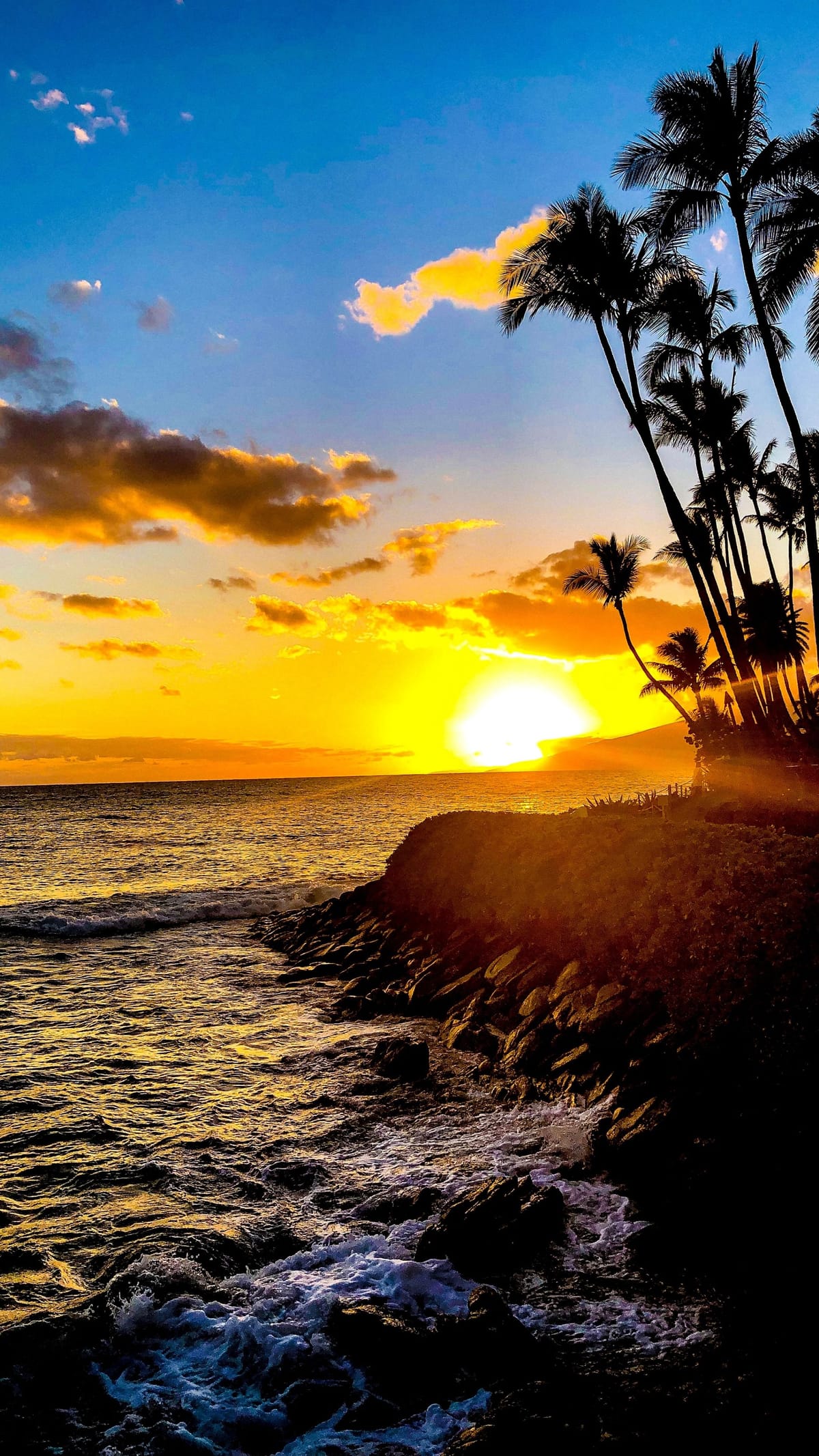 Cheapest Time to Fly to Maui (and the Most Expensive)
