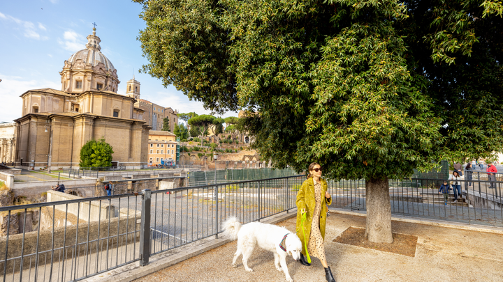 A woman wearing a yellow jacket is walking her large white dog under a tree in Rome.