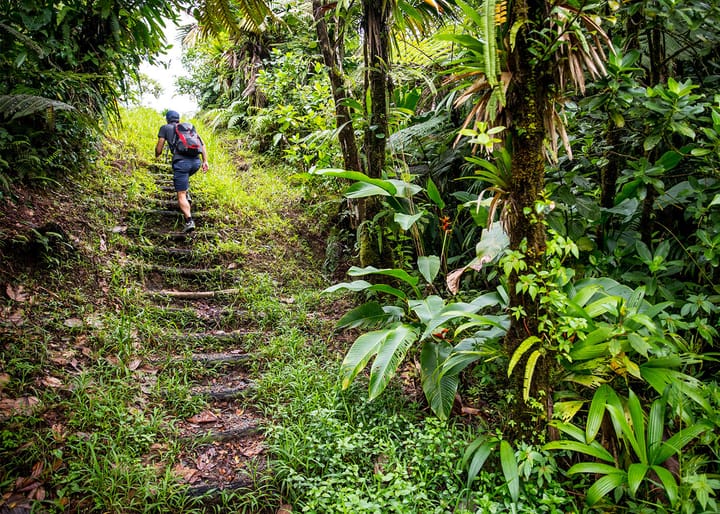Man Hiking up stairs near the Jungle in Colombia.
