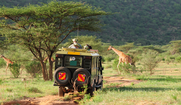 Tourists in a safari jeep observing giraffes in a grassy savannah in Kenya, with acacia trees and hills in the background.