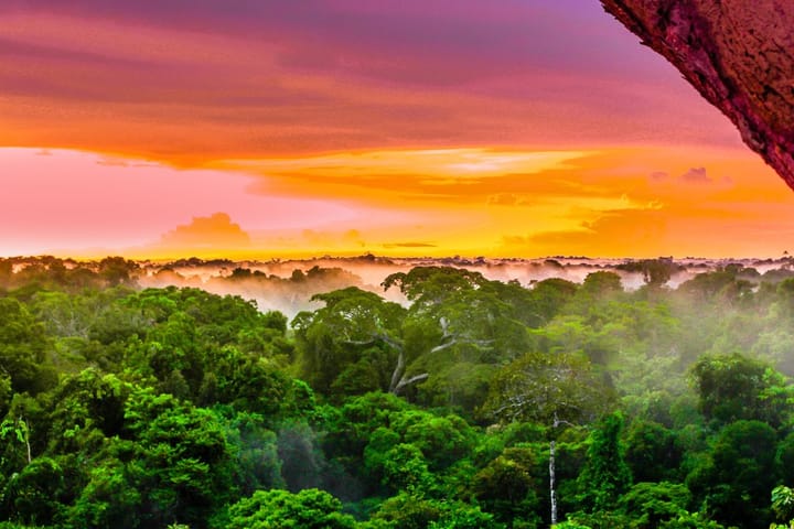 Sunset at the Amazon Rain Forrest in Colombia overlooking the canopy.