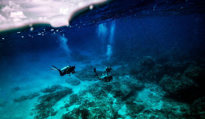 Three people under the water in clear blue Caribbean waters of Cozumel, Mexico.