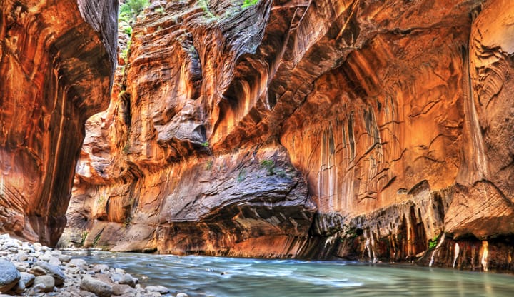 Creek running through a canyon in Zion National Park.