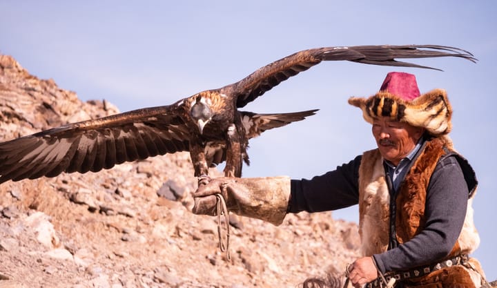 Cheapest and Most Expensive Times To Visit Mongolia 